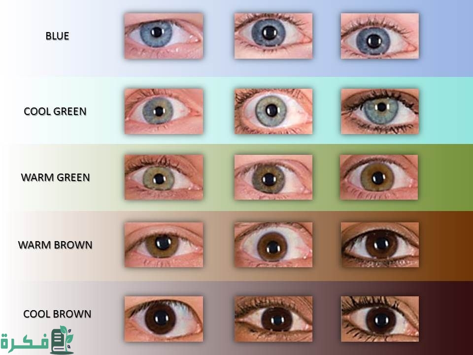 أنواع النساء من حيث الشكل