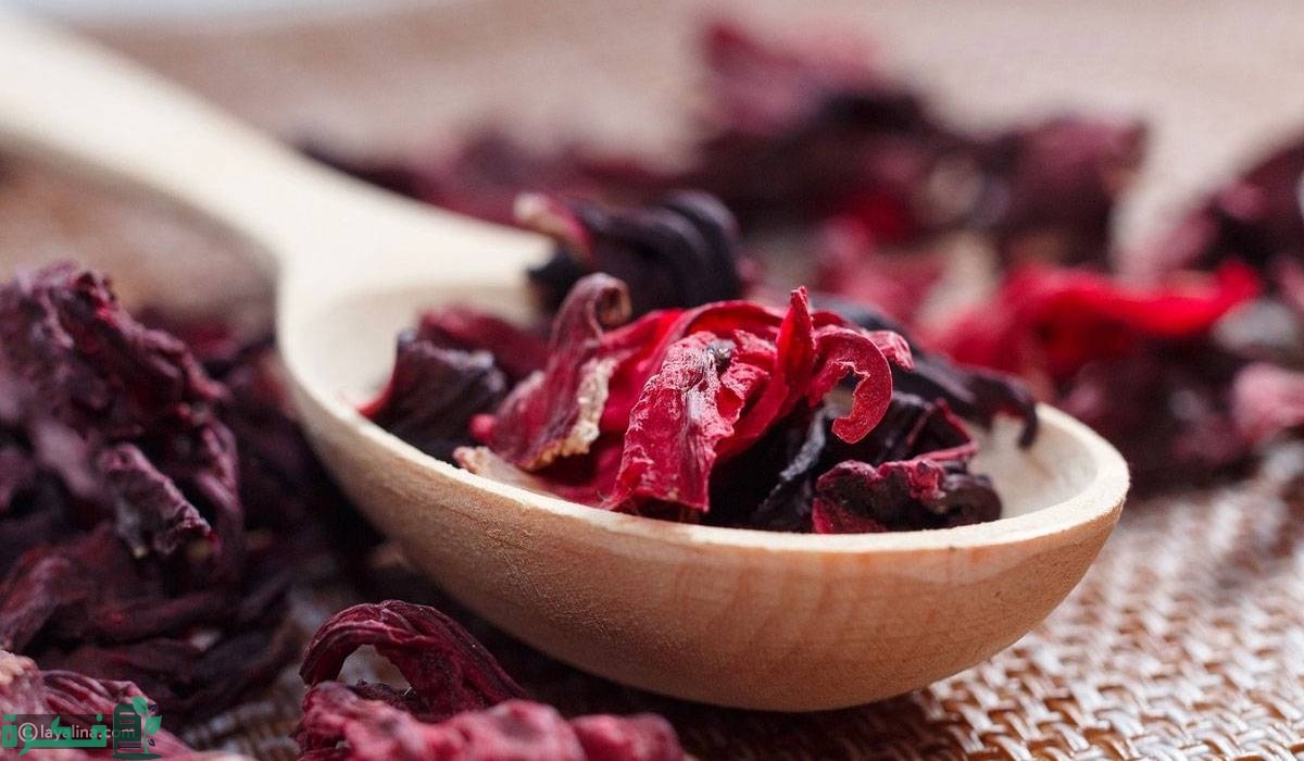 تجربتي مع الكركديه للشعر