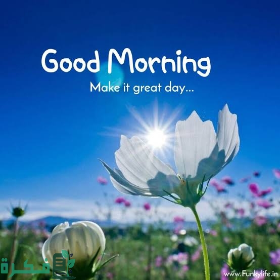 images 2023 01 06T232550.468