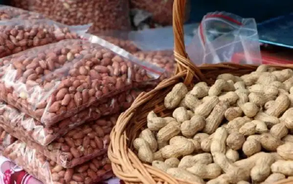 أفضل أنواع الفول للتجارة والربح