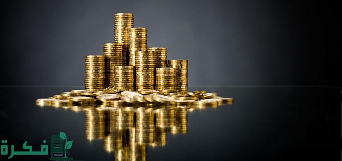 أهمية الاستثمار الأجنبي المباشر في الدول النامية