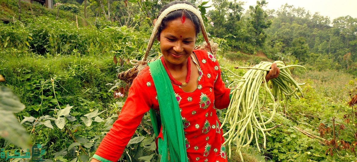 اليوم العالمي للمرأة الريفية