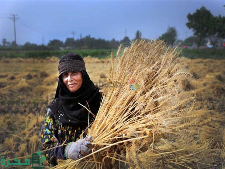 اليوم العالمي للمرأة الريفية