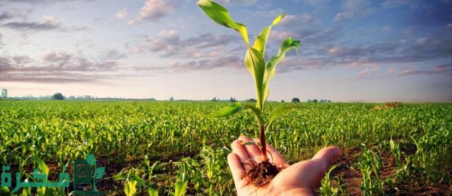 تردد قناة مصر الزراعية