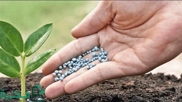 دراسة جدوى مشروع أسمدة ومبيدات دراسة جدوى مشروع أسمدة ومبيدات