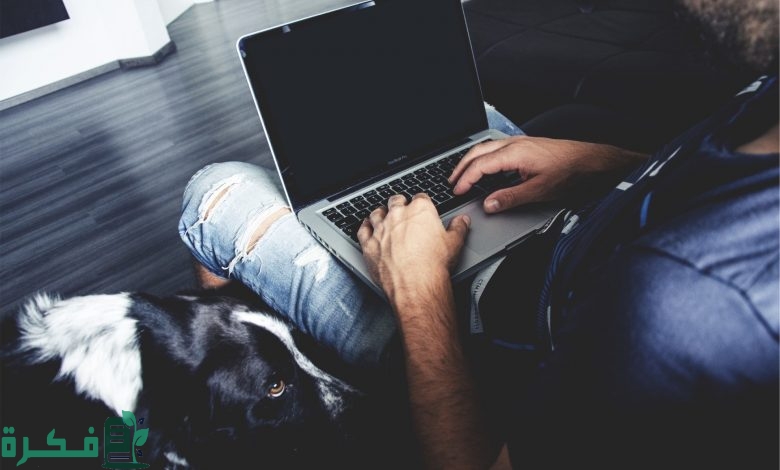 شروط الحصول على موزع معتمد في مصر