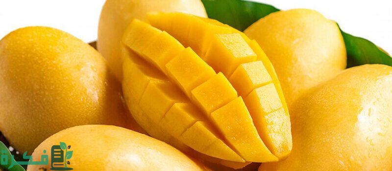 طريقة زراعة المانجو من الألف للياء بالخطوات