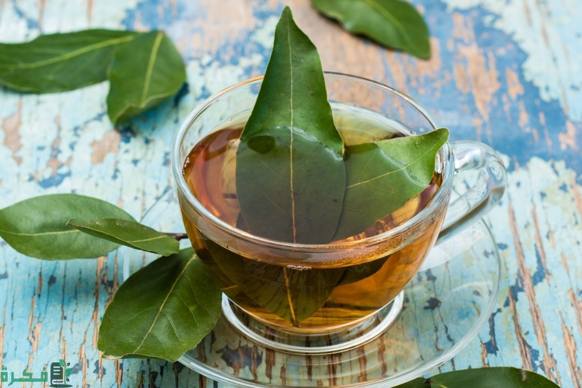 تجربتي مع السدر للعين