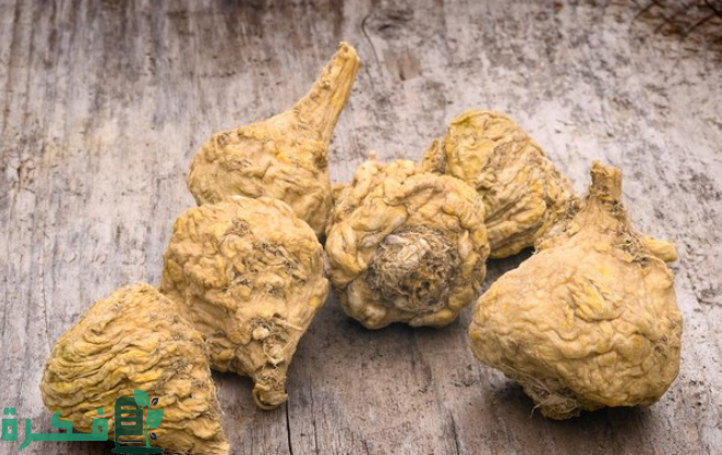 عشبة الماكا لتكبير الثدي