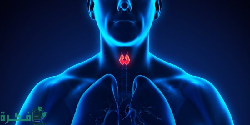 ما الآثار السلبيه المترتبه على اختلال الغدد الصماء