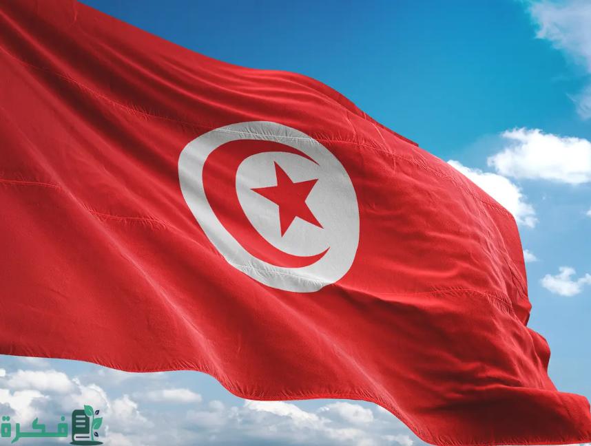 نساء تونسيات رائدات في مجالات مختلفة