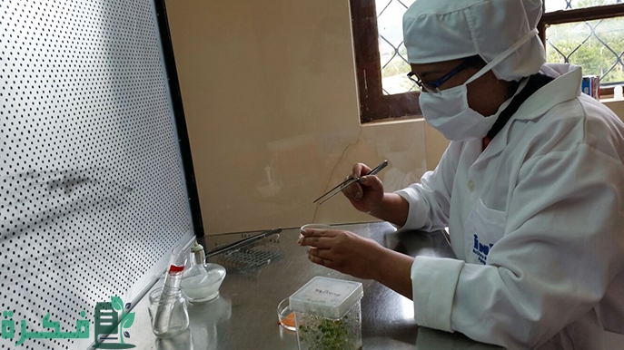 نسبة الباحثات الإناث في المجال العلمي في جميع أنحاء العالم