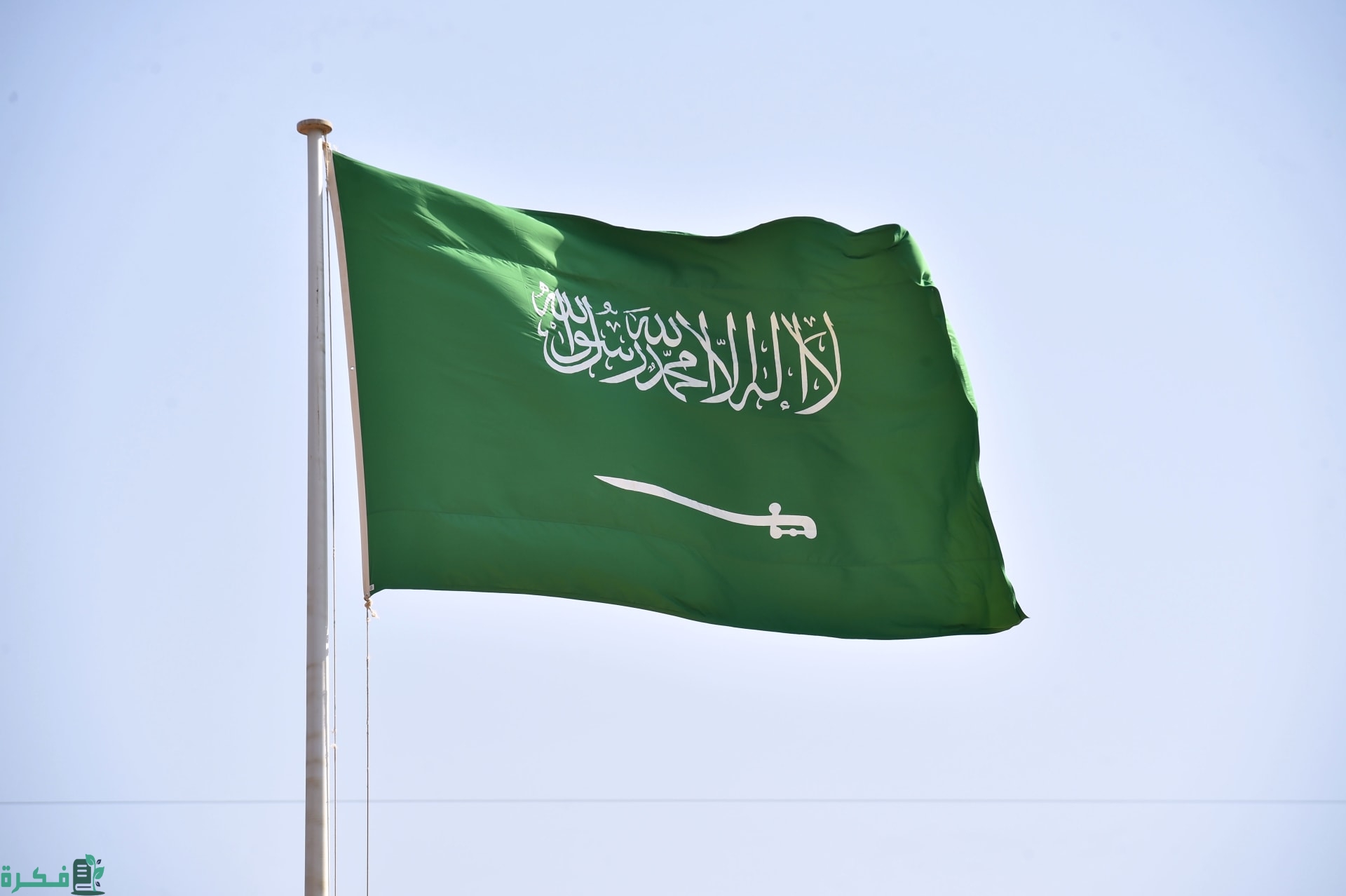 عدد النساء في السعودية