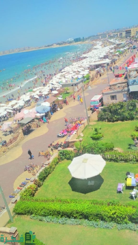 أفضل 5 أماكن خروج للمخطوبين في الإسكندرية