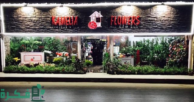أفضل 5 محلات ورد بالإسكندرية