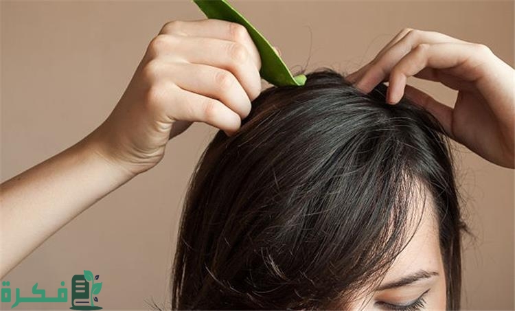 2b844909 65ab 4f74 9b6e 32da0e3fc203