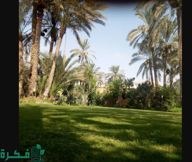 أفضل 5 أماكن ترفيهية للأطفال بالجيزة