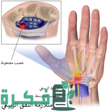 AC65D7AA D0C8 40A6 B21E 0FD7947C7107