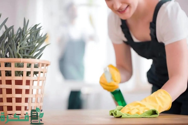 شروط من أجل استقدام عاملة منزلية من الفلبين إلى السعودية