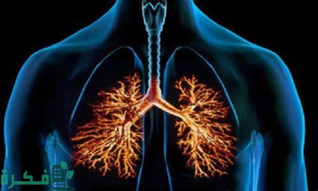 أفضل 5 أنواع موسع للشعب الهوائية طبيعي