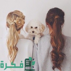 خلفيات نساء مع كلاب