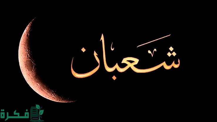 images 2023 02 18T231108.609