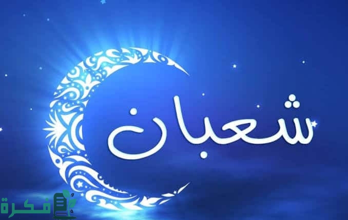 images 2023 02 21T213458.953