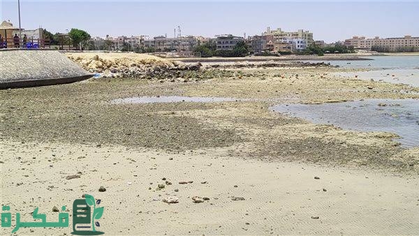 images 2023 02 22T200544.296