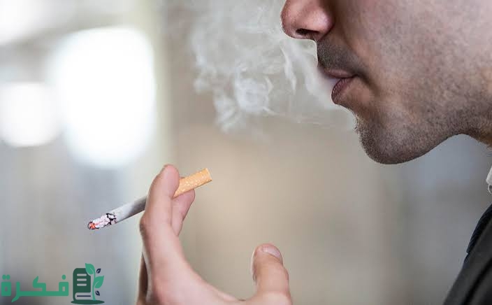 inbound9164940930106522269