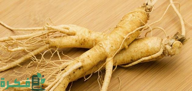 أفضل 5 أنواع الجنسنج في الصيدليات في مصر