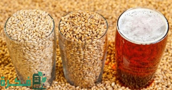 أفضل 5 أنواع مشروبات الشعير في مصر   