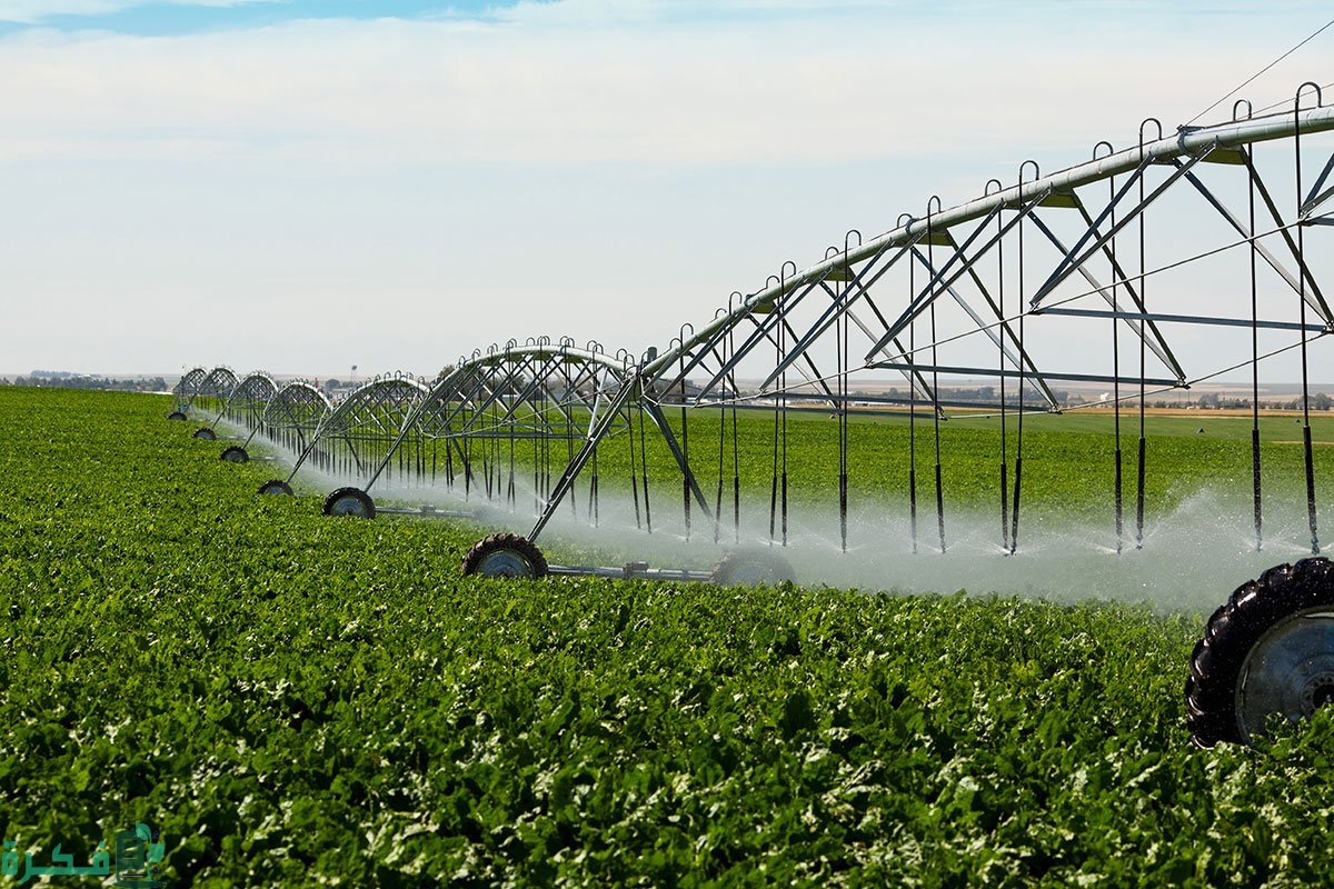 أهمية الزراعة في الوطن العربي