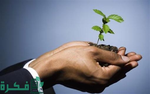 الاهتمام بالجانب الروحي فقط للحضارة