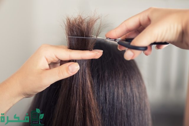 تجربتي مع قص أطراف الشعر كل شهر