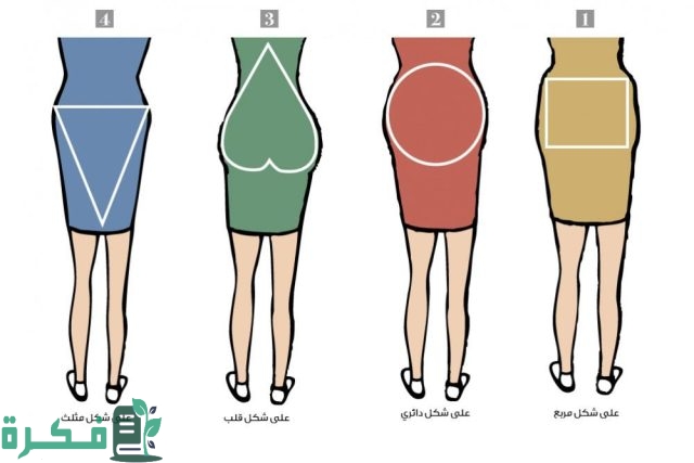 تحليل الشخصية من شكل المؤخرة