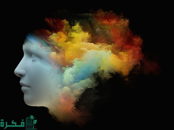 تعريف مجزوءة الوضع البشري مفهوم الشخص