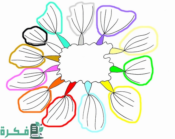 خريطة مفاهيم فارغة كيوت ملونه