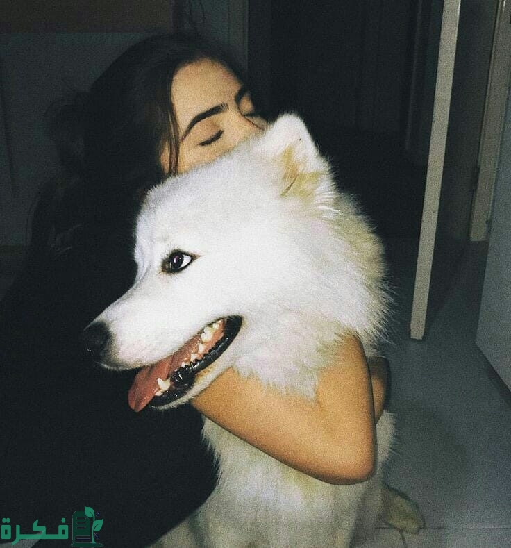 خلفيات نساء مع كلاب