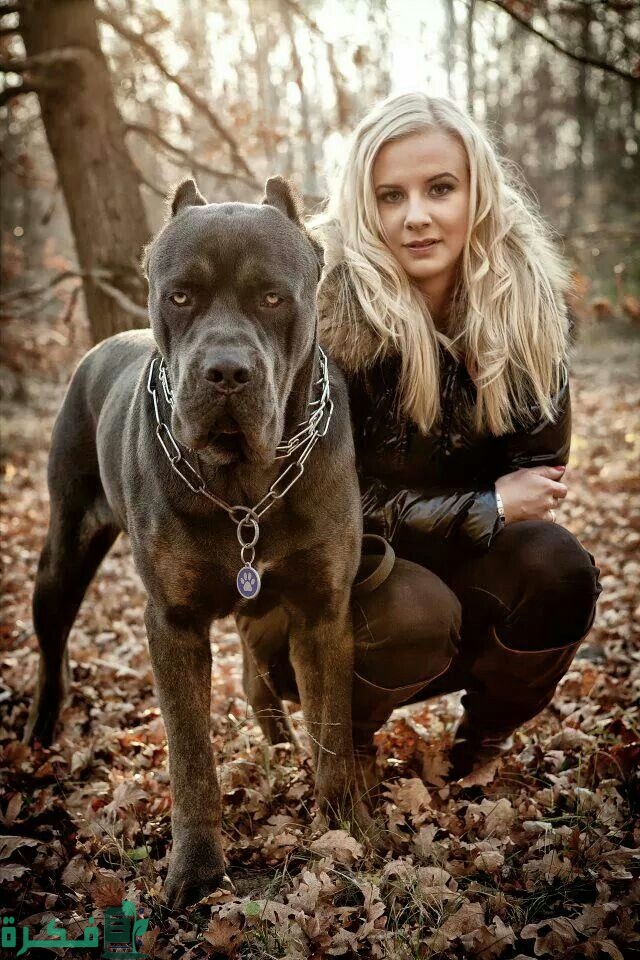 خلفيات نساء مع كلاب
