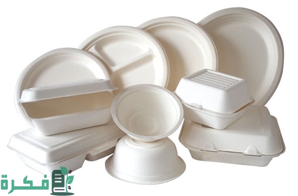 دراسة جدوى مشروع مصنع أطباق فوم