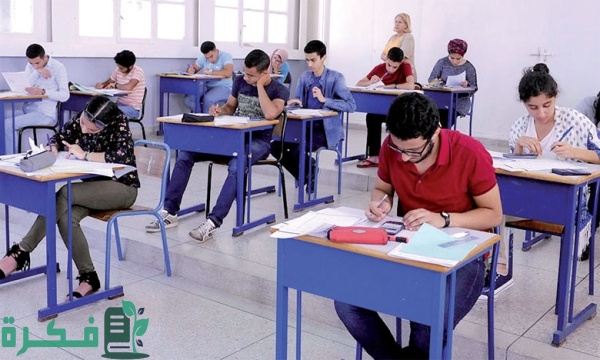 شروط التسجيل في باك حر