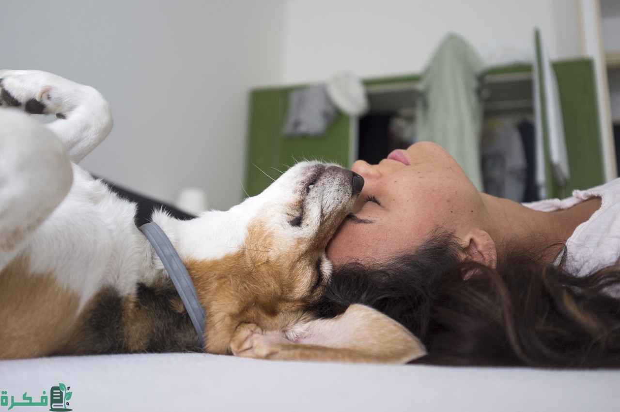 فوائد الكلاب للنساء