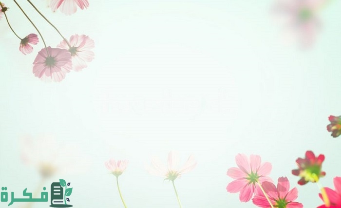 قوالب بوربوينت ثلاثية الأبعاد جاهزة للتعديل