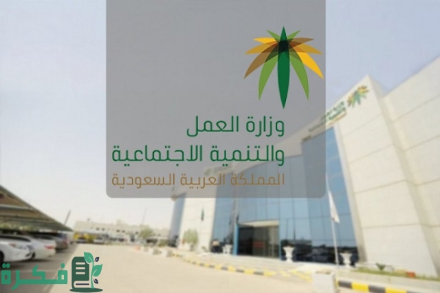 كشف استلام الرواتب الشهرية وزارة العمل