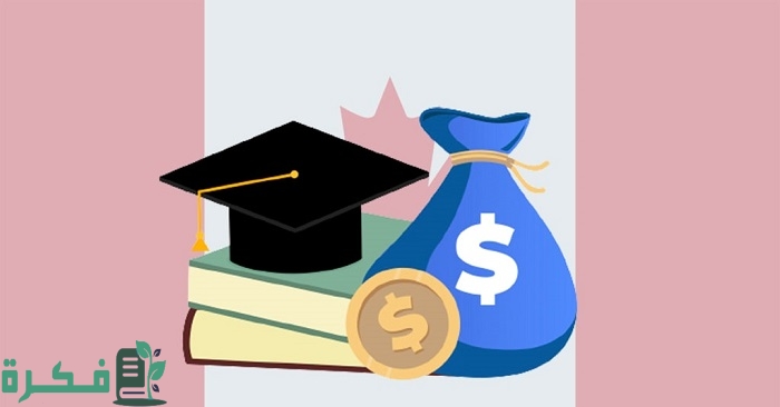 كيف احصل على منحة دراسية مجانية
