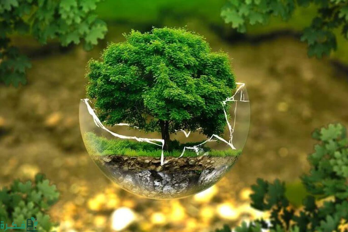 موضوع تعبير عن البيئة