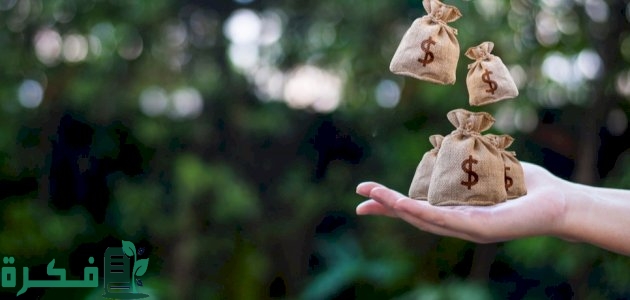 موضوع تعبير عن المال العام