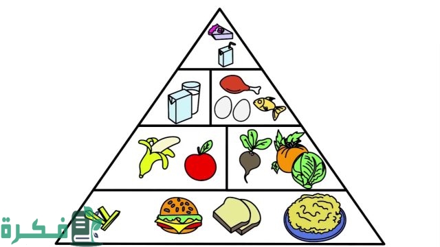موضوع تعبير عن الهرم الغذائي