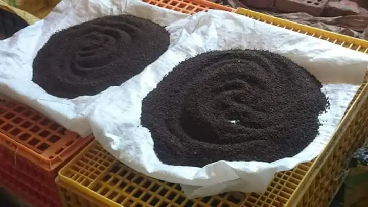 أفضل 5 أنواع سماد للنباتات المنزلية