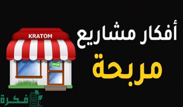 أفضل 5 مشاريع تجاريه صغيرة